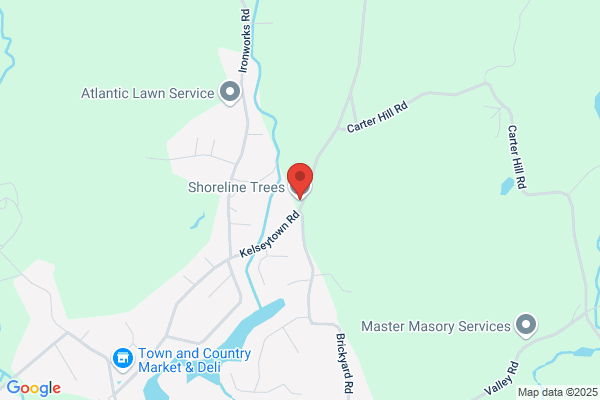 CT Shoreline Tree Service