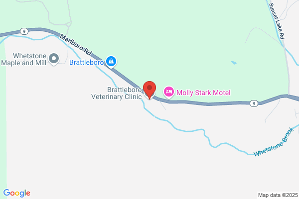 Brattleboro Veterinary Clinic