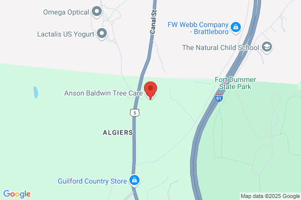 D & E Tree Company Inc.