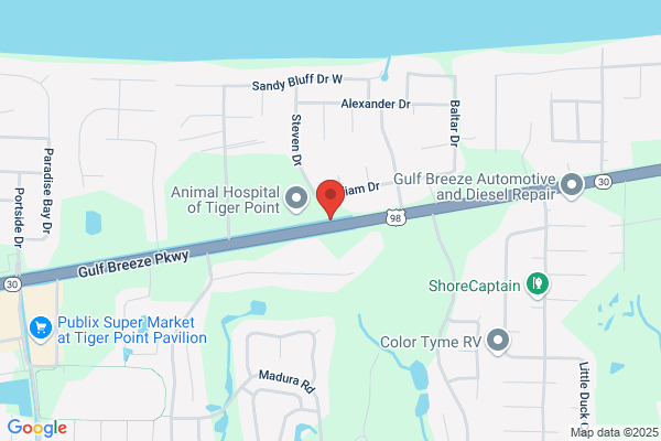 Shark Tooth Automotive Specialists