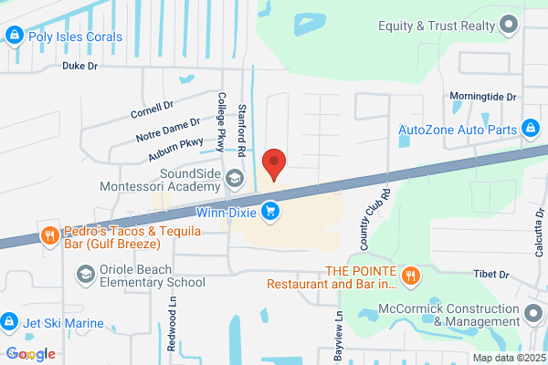 Advance Auto Parts