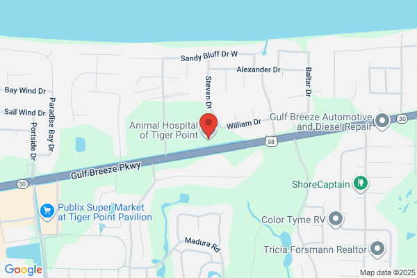 Animal Hospital of Tiger Point