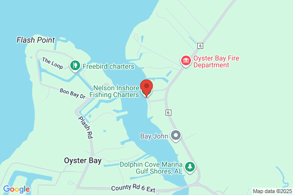Nelson's Inshore Charter Fishing