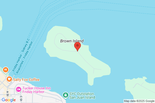 Island Caretakers Inc