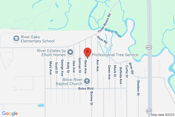 Professional Tree Service