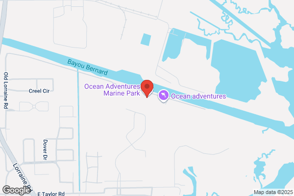 Institute For Marine Mammal Studies