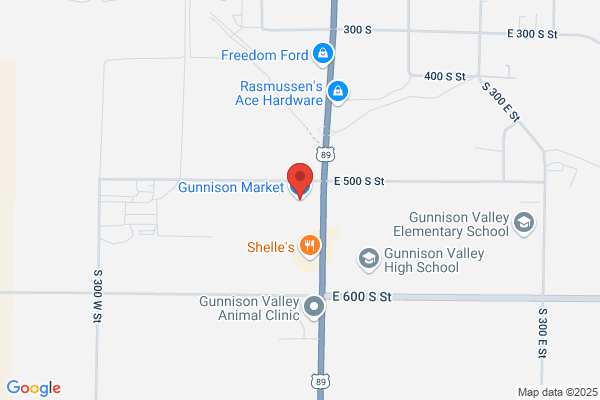 Gunnison Market