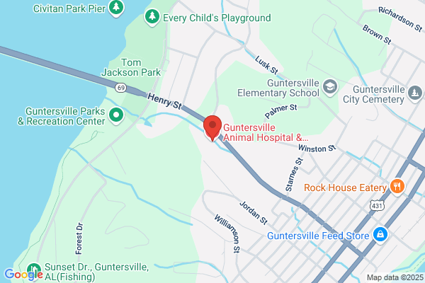 Guntersville Animal Clinic