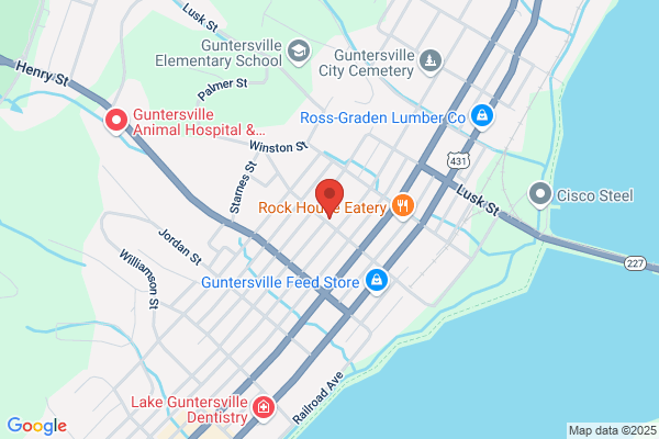 Guntersville City of, Public Library