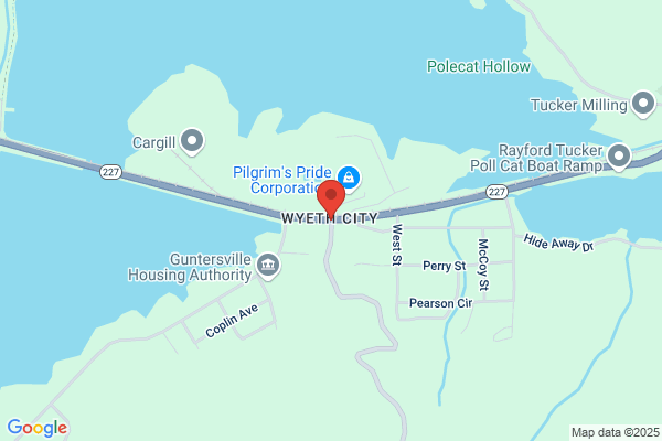 Guntersville Marine Inc