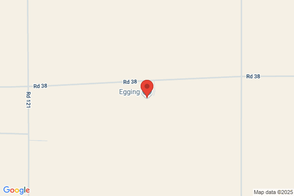 Egging Company