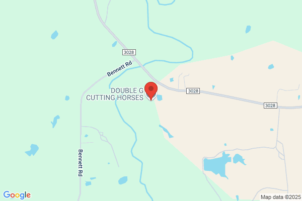 Spurger Cutting Horses