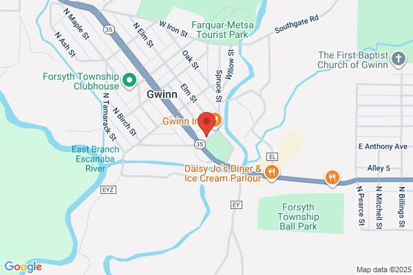 Forsyth Township, Public Library