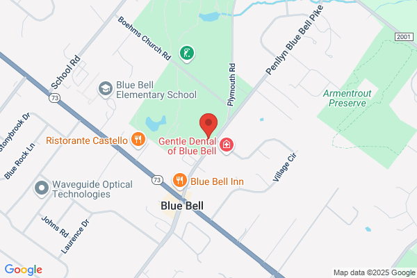 Lisa Hasson Real Estate