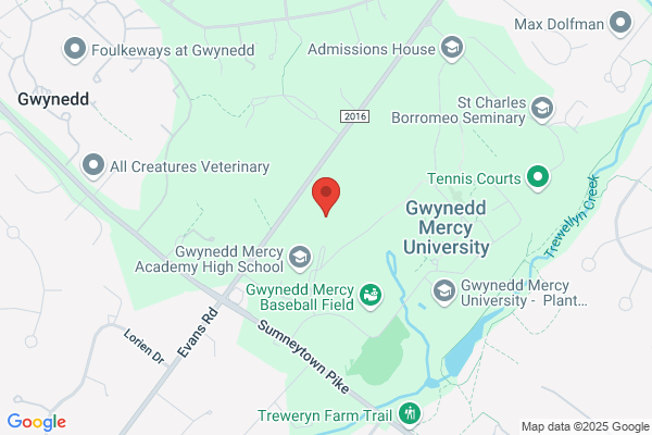 Gwynedd Mercy Academy