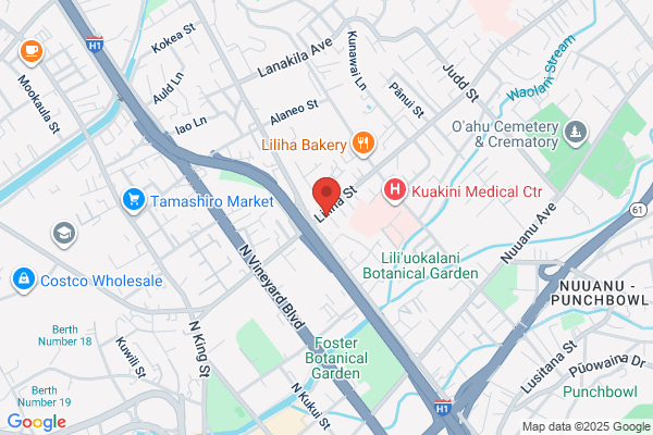 Central Honolulu Therapy Clinic Llc
