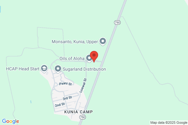 Pa'ina Hou Llc