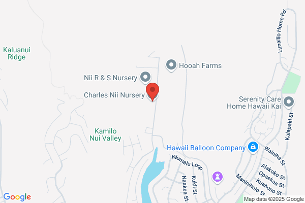 Nii Charles Nursery Inc