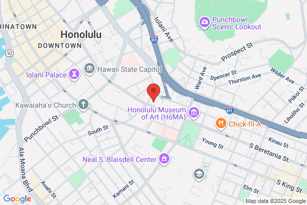 Red Knot Honolulu