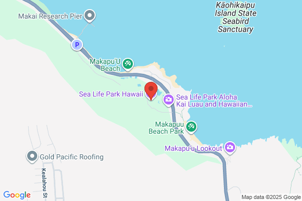 Hawaiian Sea Life Inc