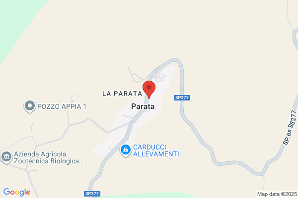 Paeco
