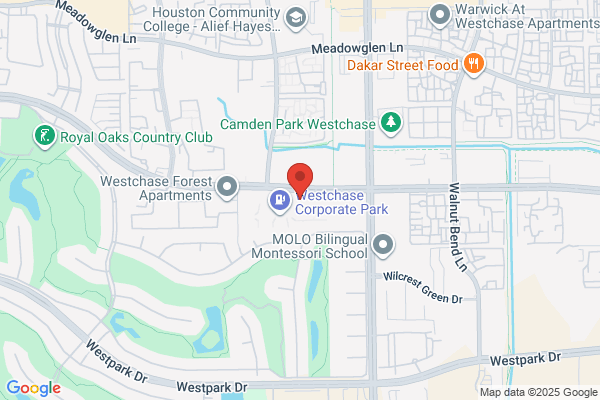 Westchase Wellness Chiropractic Center