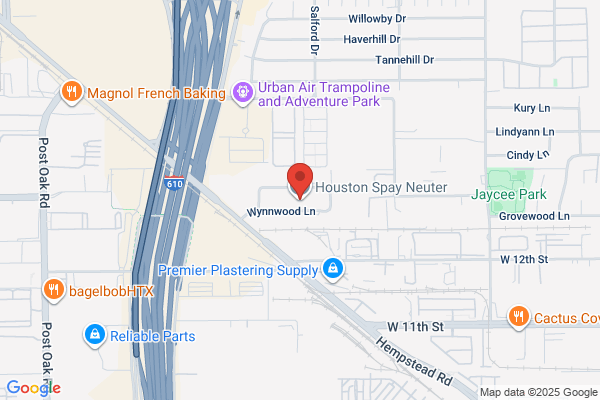 Houston Spay-Neuter Clinic