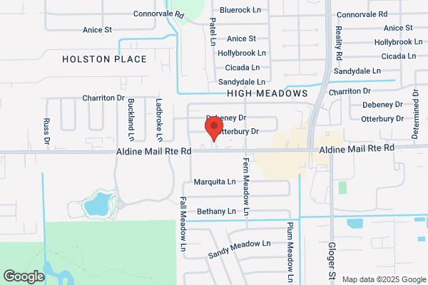 Aldine Collision