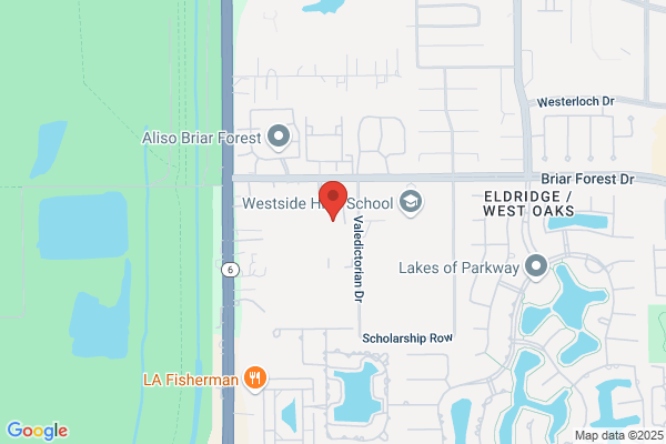 Aventura on Briar Forest
