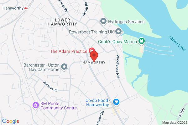 Hamworthy Inc