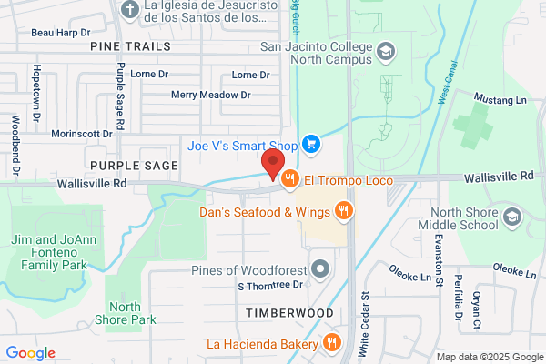 Wallisville Auto Repair