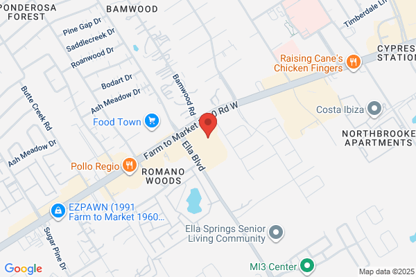 Advance Auto Parts