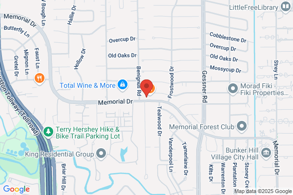 All Area Oriental Rug Cleaners