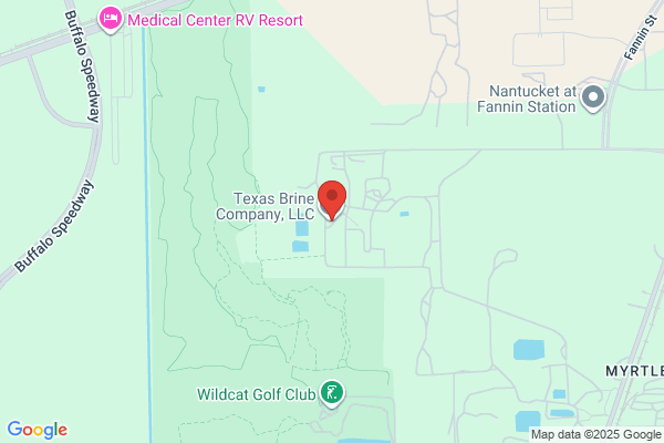 Texas Brine Company Llc, Plant