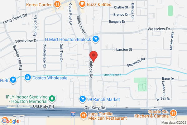The Houston Back & Neck Clinic