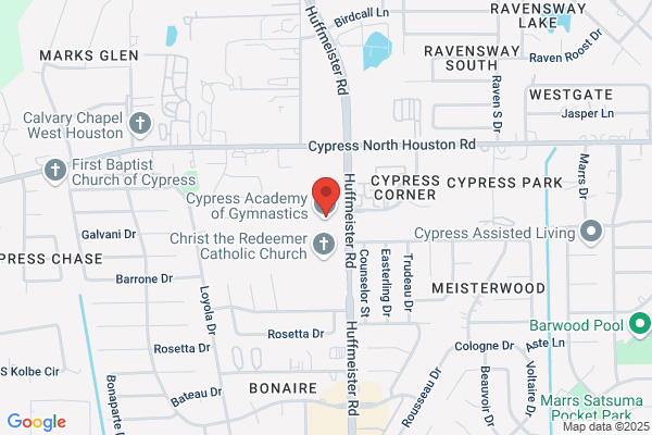 Cypress Body Bootcamp