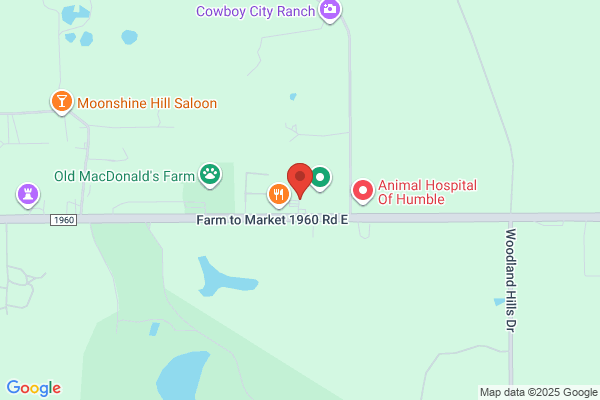 Texas Lone Star Mechanical Inc