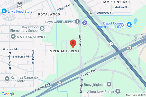 Imperial Forest by Starlight Homes