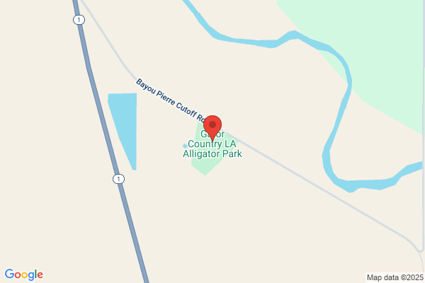 Louisiana Alligators