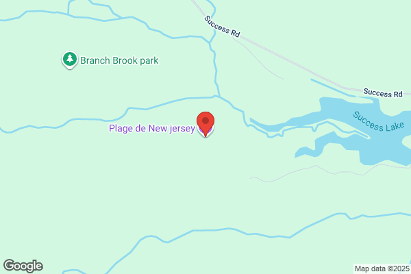 Steven's Auto Services