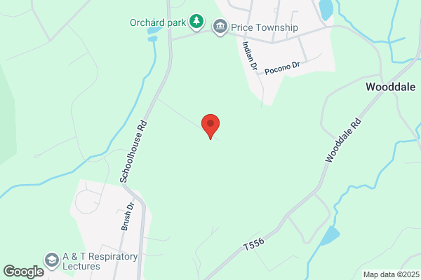 Singer Tree Service
