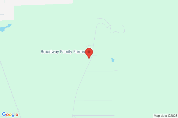 Broadway Fabrics