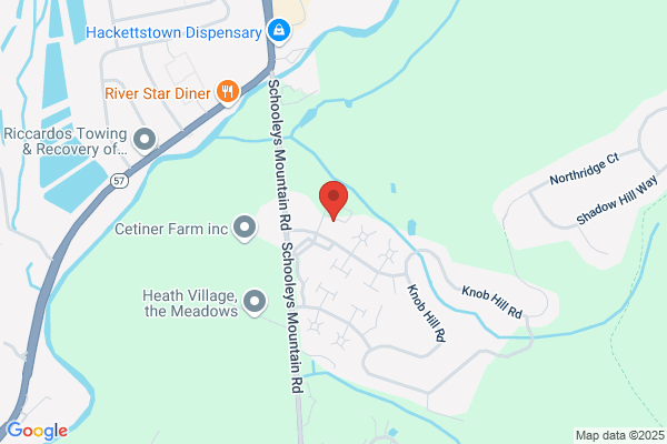 Robinson Aerial Surveys Inc