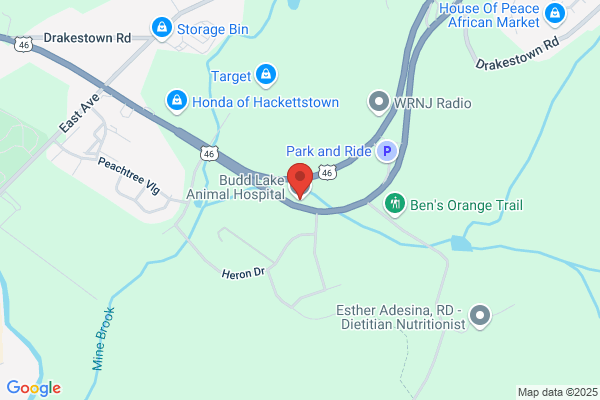 Budd Lake Animal Hospital