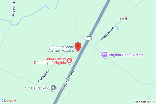 Eastern Shore Animal Hospital