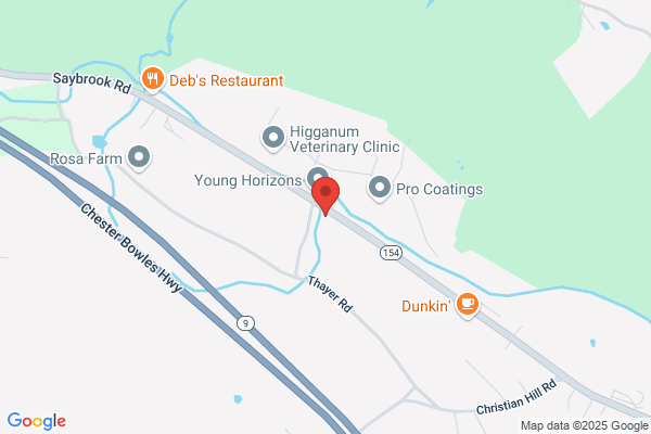 Larry's Auto Service