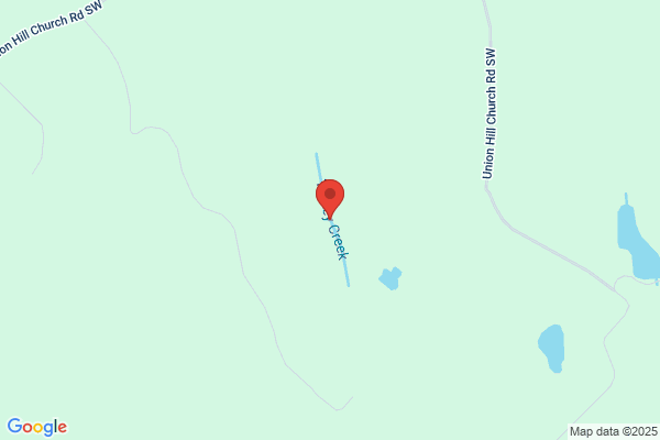 Turkey Creek Logging