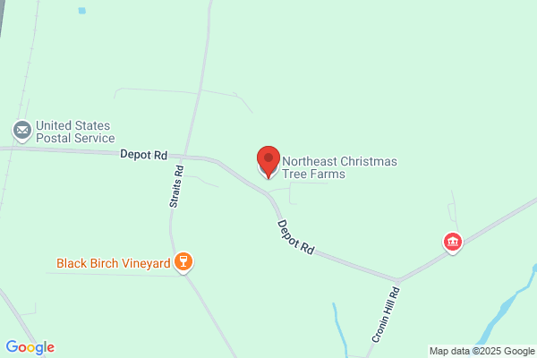 Northeast Christmas Tree Farms