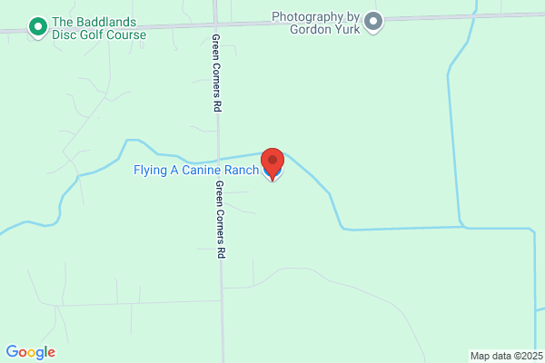 Flying A Canine Ranch