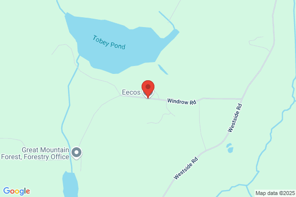 Eecos Inc